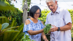 An older couple, working together to plant something. 